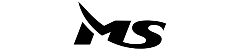 ms logo